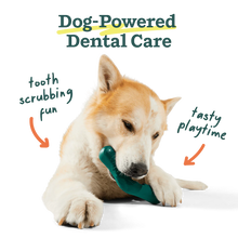 Load image into Gallery viewer, Woof Bite 'n Brush