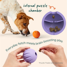 Load image into Gallery viewer, Woof Puzzle Toys & Treats
