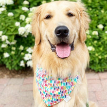 Load image into Gallery viewer, Chicago Dog Co Bandanas