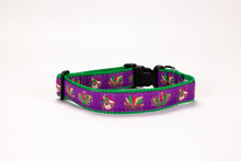 Load image into Gallery viewer, Preston Ribbon Collars