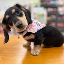 Load image into Gallery viewer, Food Themed Bandanas