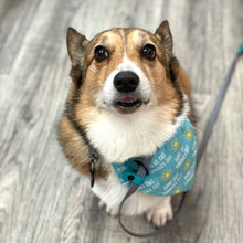 Load image into Gallery viewer, Pumpkin Season Bandanas