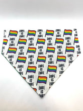 Load image into Gallery viewer, Pride Bandanas