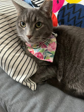 Load image into Gallery viewer, Food Themed Bandanas