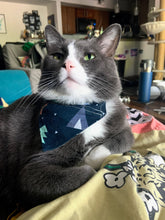 Load image into Gallery viewer, Food Themed Bandanas