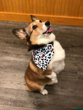 Load image into Gallery viewer, Food Themed Bandanas

