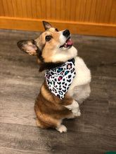 Load image into Gallery viewer, Food Themed Bandanas