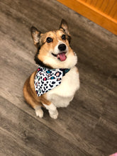 Load image into Gallery viewer, Pumpkin Season Bandanas