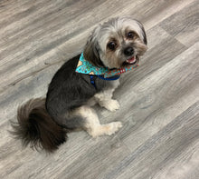 Load image into Gallery viewer, Pumpkin Season Bandanas