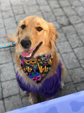 Load image into Gallery viewer, Food Themed Bandanas