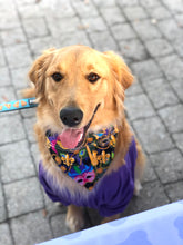 Load image into Gallery viewer, Pumpkin Season Bandanas