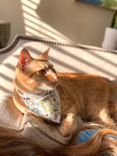 Load image into Gallery viewer, Pumpkin Season Bandanas