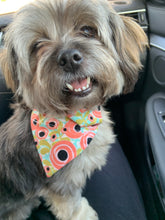 Load image into Gallery viewer, Pumpkin Season Bandanas