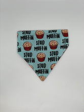Load image into Gallery viewer, Food Themed Bandanas