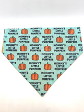 Load image into Gallery viewer, Pumpkin Season Bandanas