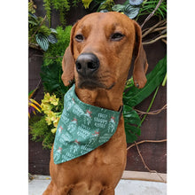 Load image into Gallery viewer, Koa&#39;s Ruff Life Bandanas
