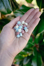 Load image into Gallery viewer, Love Liparu Freeze-Dried Treats
