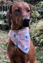 Load image into Gallery viewer, Koa&#39;s Ruff Life Bandanas
