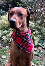 Load image into Gallery viewer, Koa&#39;s Ruff Life Bandanas
