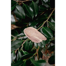 Load image into Gallery viewer, Love Liparu Freeze-Dried Treats
