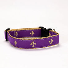 Load image into Gallery viewer, Preston Ribbon Collars
