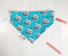 Load image into Gallery viewer, Chicago Dog Co Bandanas
