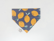 Load image into Gallery viewer, Chicago Dog Co Bandanas
