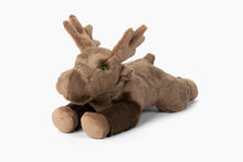 Load image into Gallery viewer, Fluff &amp; Tuff Forest Friends
