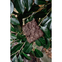 Load image into Gallery viewer, Love Liparu Freeze-Dried Treats
