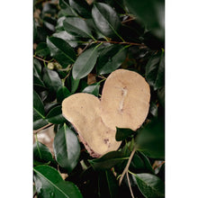 Load image into Gallery viewer, Love Liparu Freeze-Dried Treats
