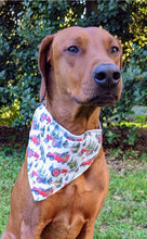 Load image into Gallery viewer, Koa&#39;s Ruff Life Bandanas
