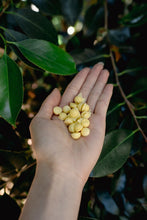 Load image into Gallery viewer, Love Liparu Freeze-Dried Treats
