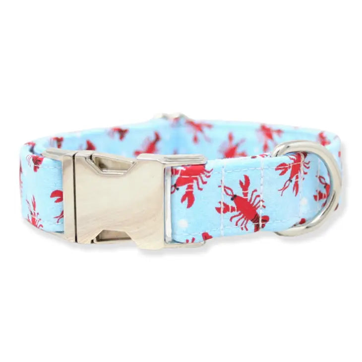 The Oxford Dog Collars